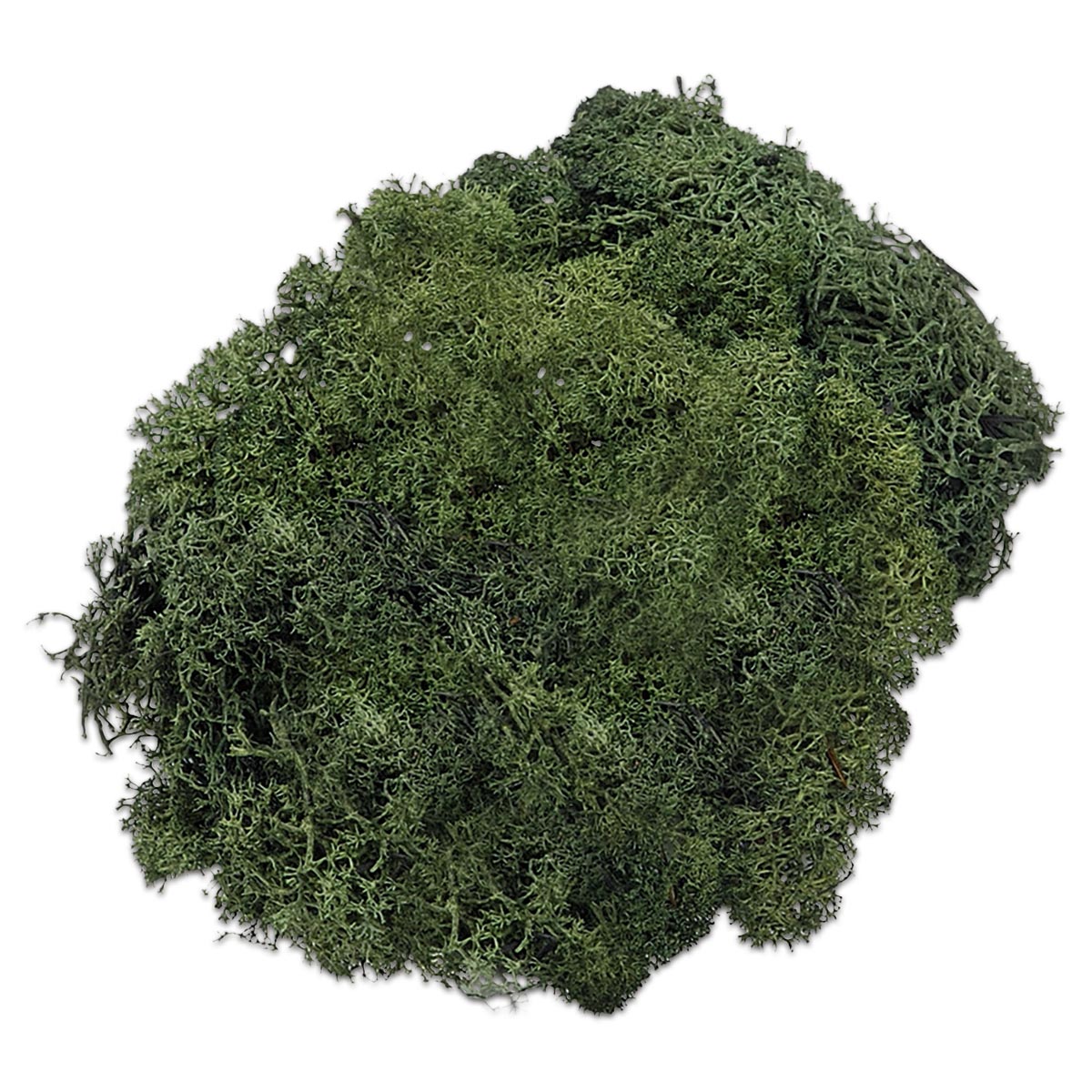 Islandmoos 250g tannengrün