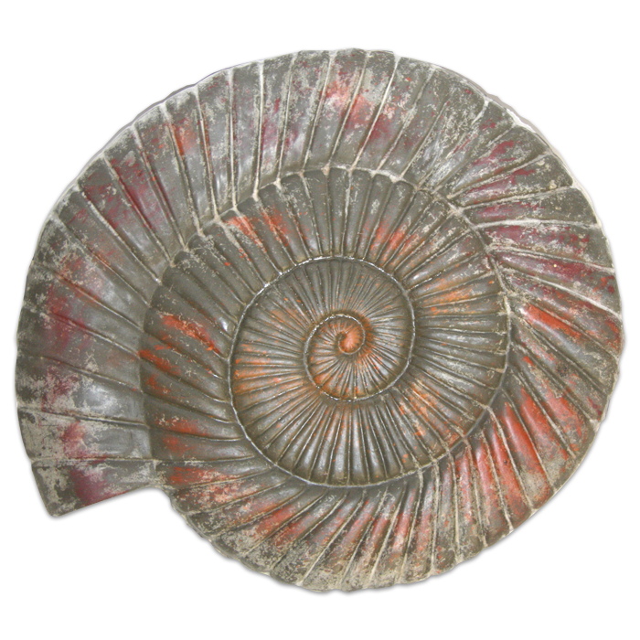 Gießform Schnecke (Ammonit) 34x38cm