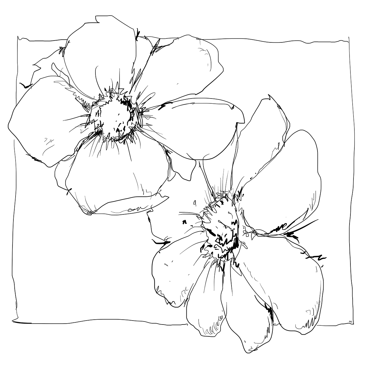 Color Sketch-Keilrahmen 20x20cm Zwei Blüten