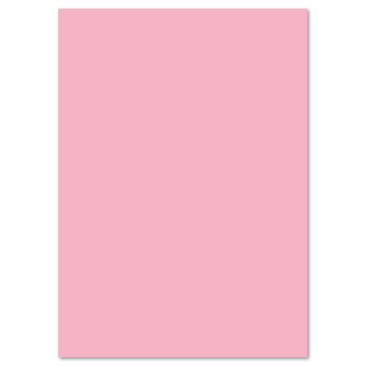 Tonkarton 220g/m² 50x70cm 25 Bl. rosa